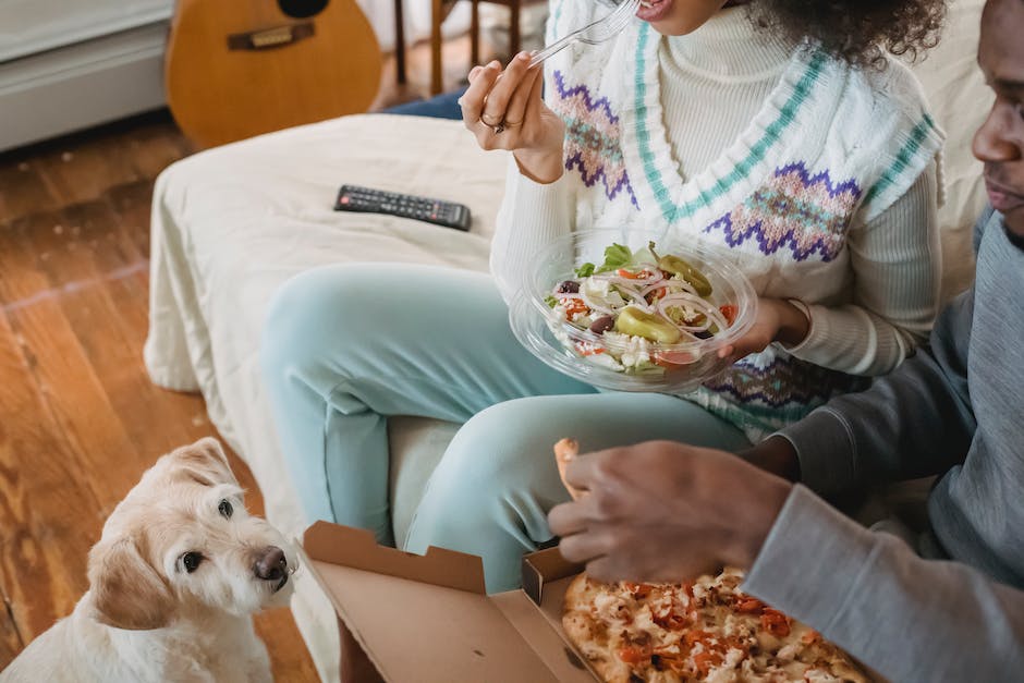 Hundefütterung - wie viel darf ein Hund essen?